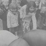 Saint-Maurice pupils visited the Agricool farm in Saint-Paul-en-Chablais